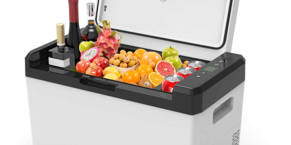 Compressor Type Car Refrigerator  Market Report: Latest Industry Outlook & Current Trends 2023 to 2032