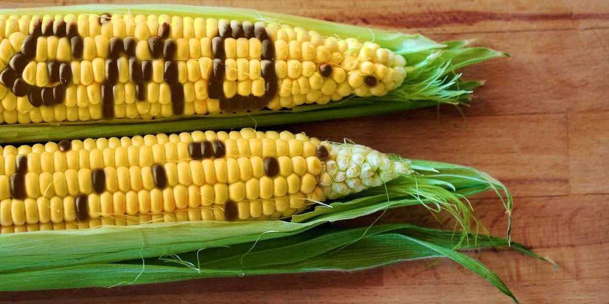 Genetically Modified (GMO) Food Market 2023: Global Forecast to 2032