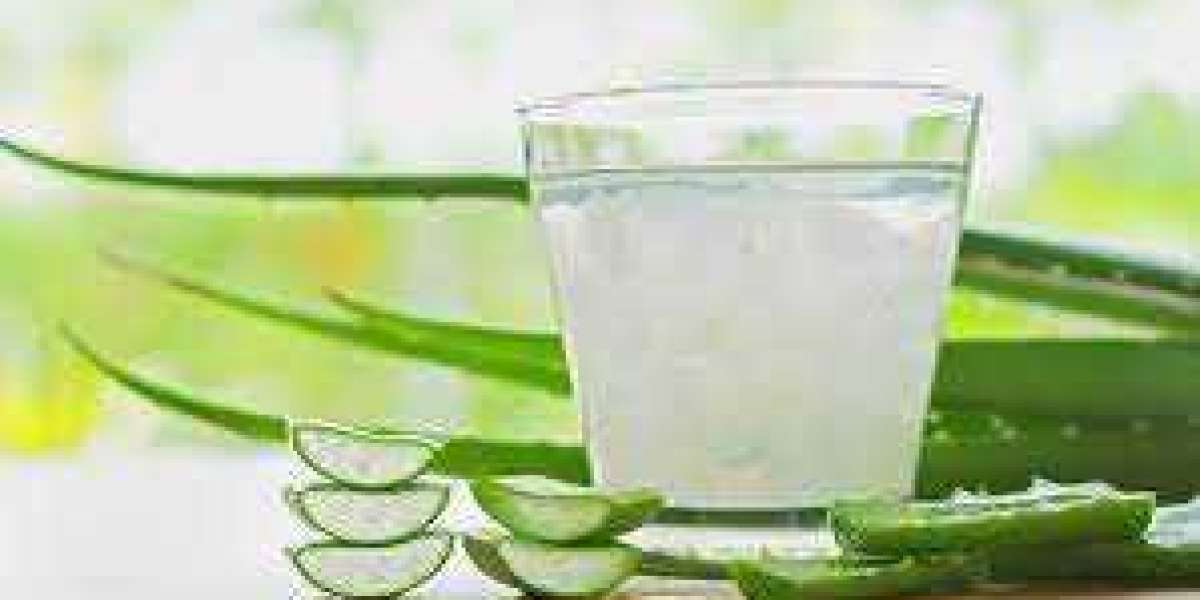 Global Aloe Vera Drink Market Share Analysis with Top Industry Players Report to 2032